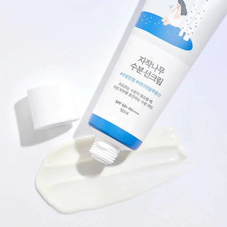 ROUND LAB Birch Juice Moisturizing Sun Cream